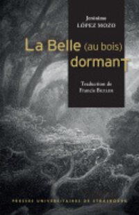 Couverture de "la Belle au bois dormant"