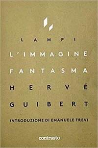 Couverture de "L'immagine fantasma"